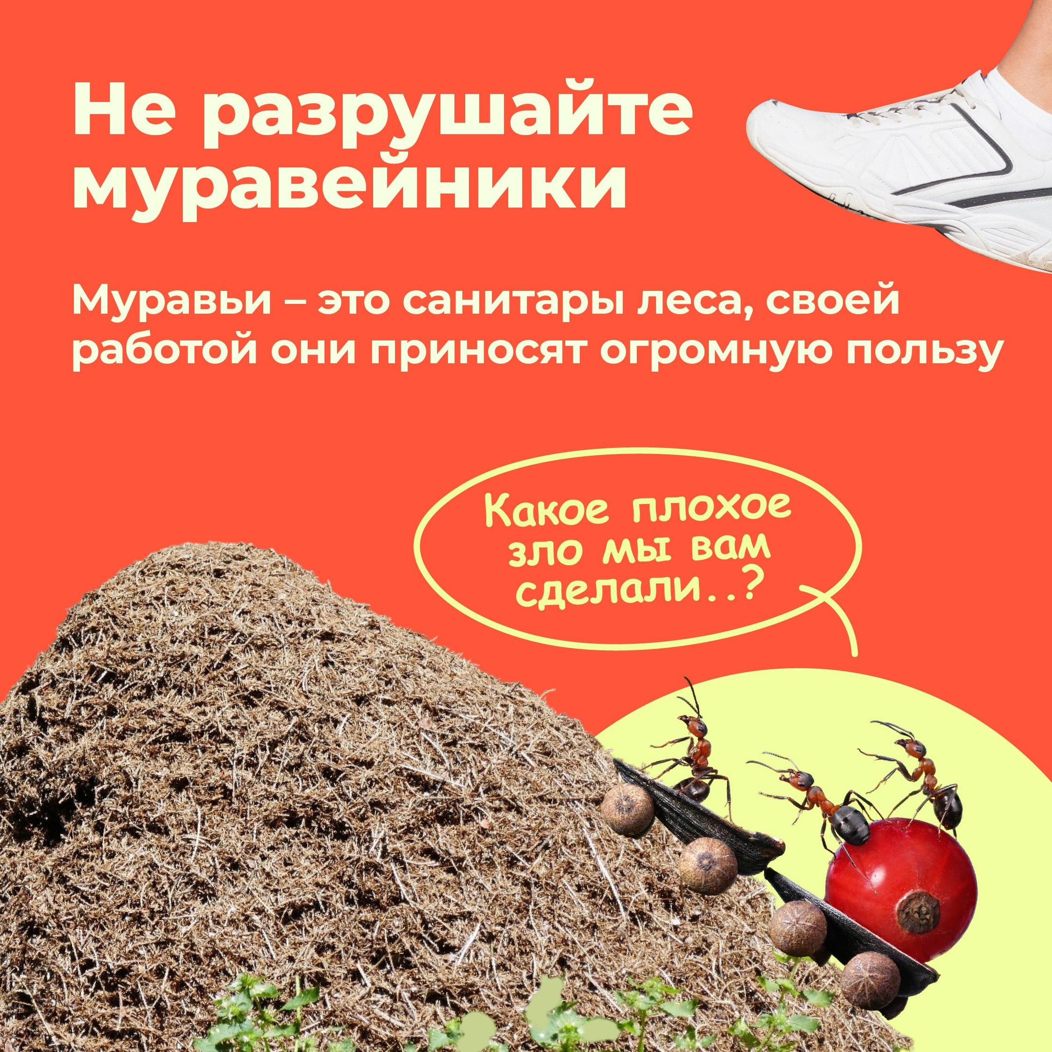 4 9lYzsXoXwnU.jpg